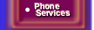 ZZWhitePhoneServices.jpg (12496 bytes)
